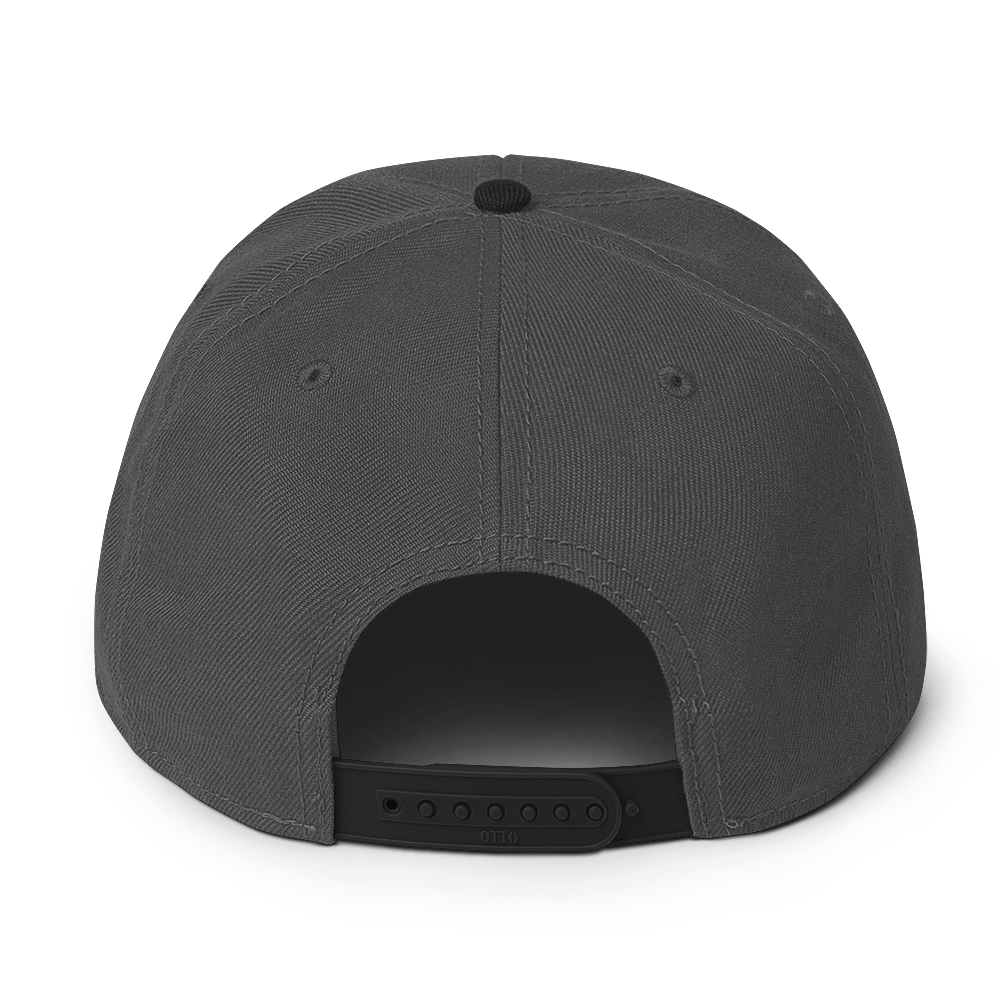 Charcoal and Black Snapback Hat with Embroidered Blue and Red Spiral Horses - ARAWMANTICKS Back Mockup